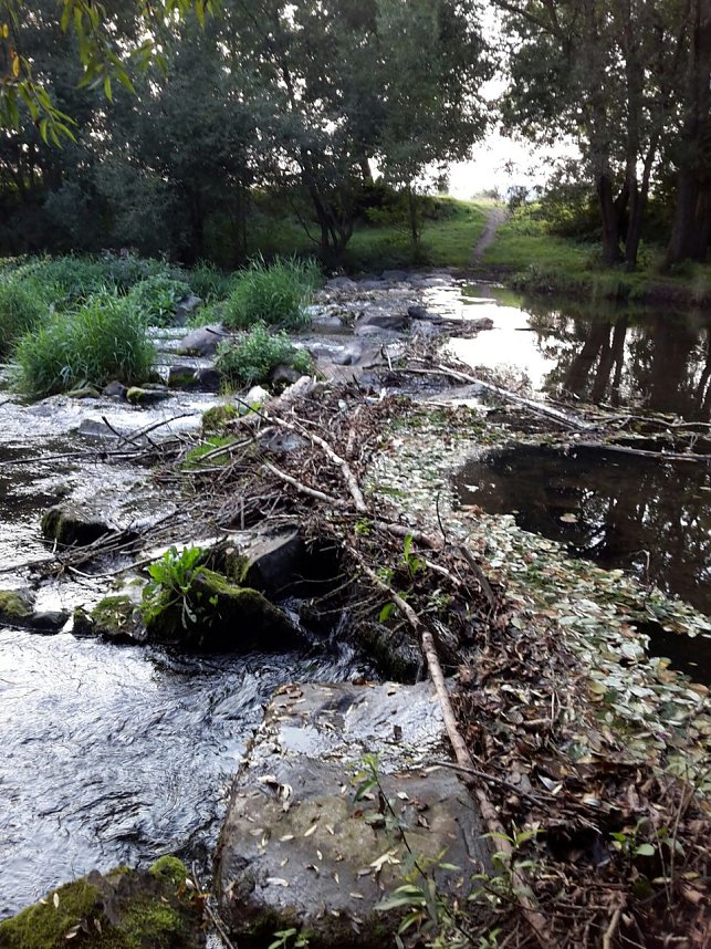 Rundgang an der Zorge
