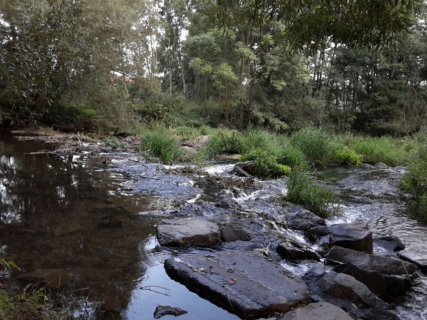 Rundgang an der Zorge