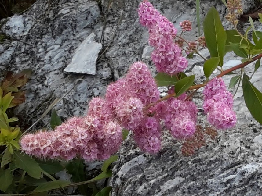 Rundgang an der Zorge