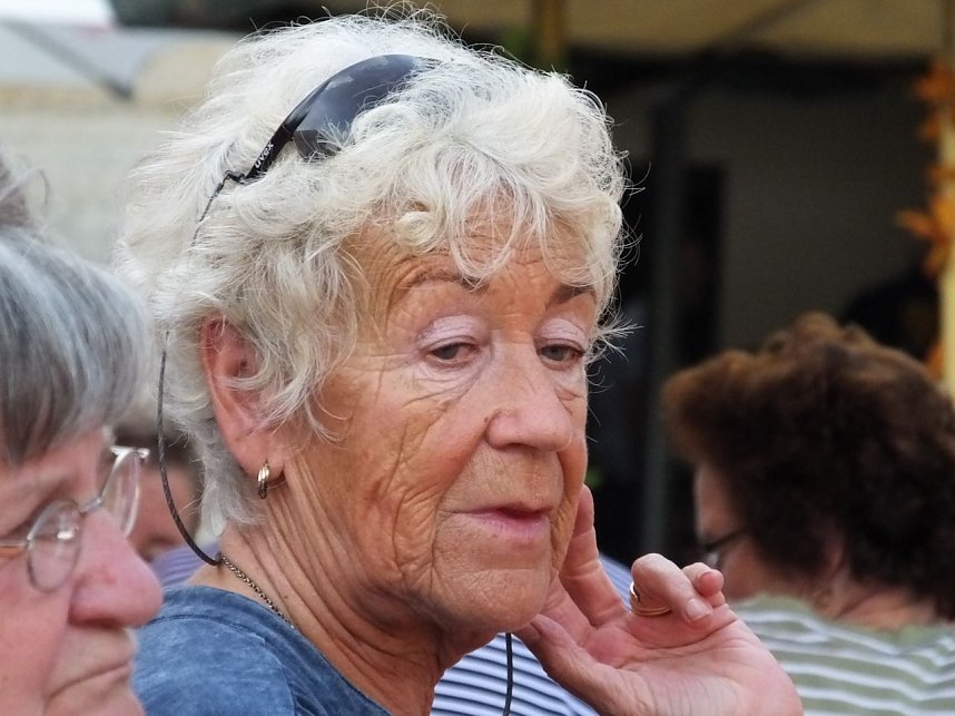 Weinfest in Sondershausen