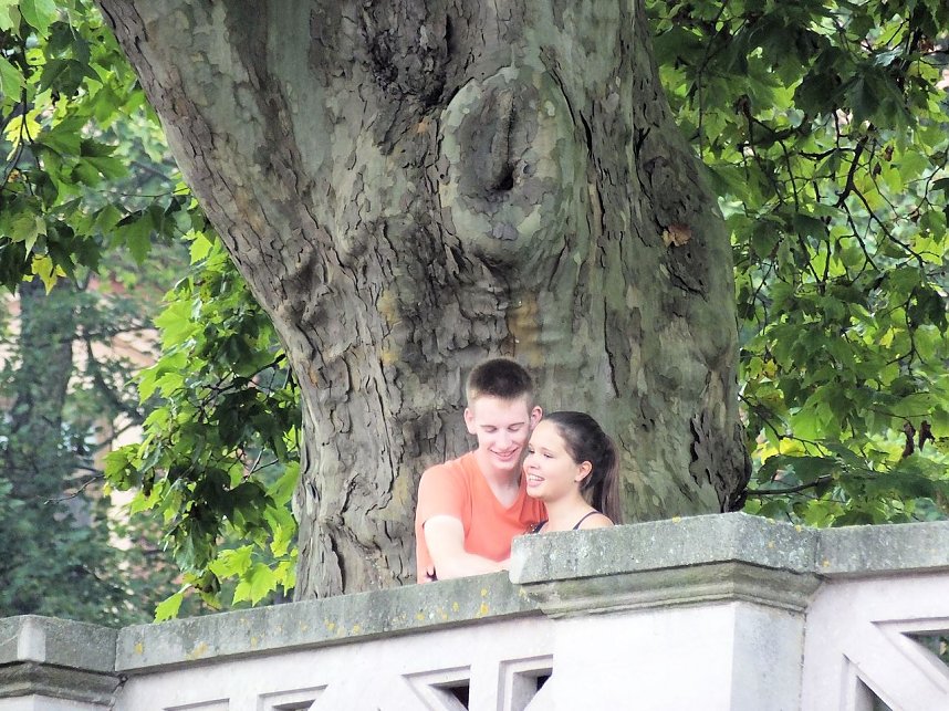 Weinfest in Sondershausen