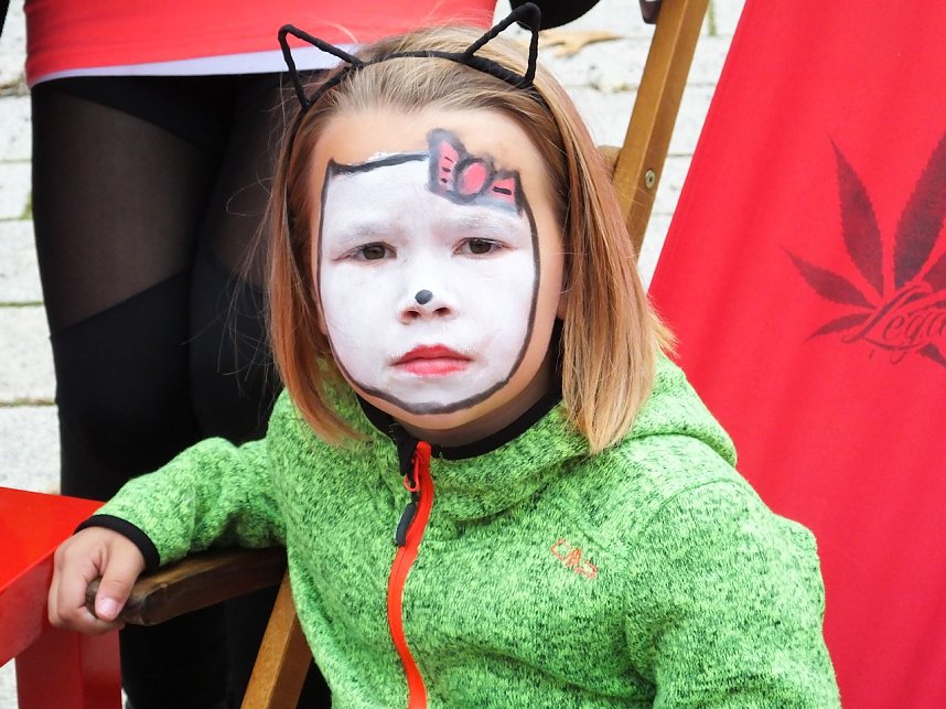Wahlkampfendspurt bei den Linken