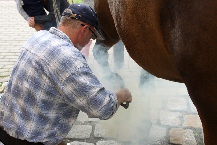 Tag des offenen Denkmals in der Alten Schmiede in Obergebra