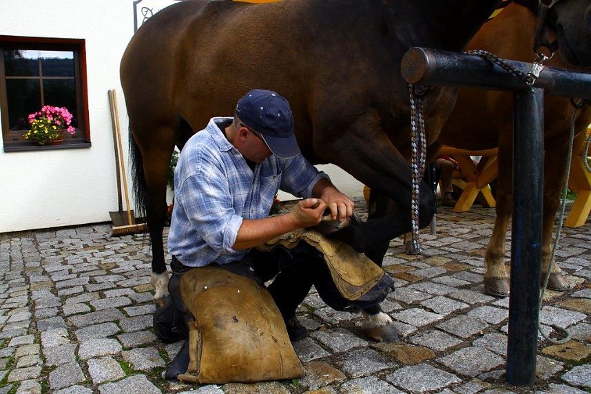 Tag des offenen Denkmals in der Alten Schmiede in Obergebra