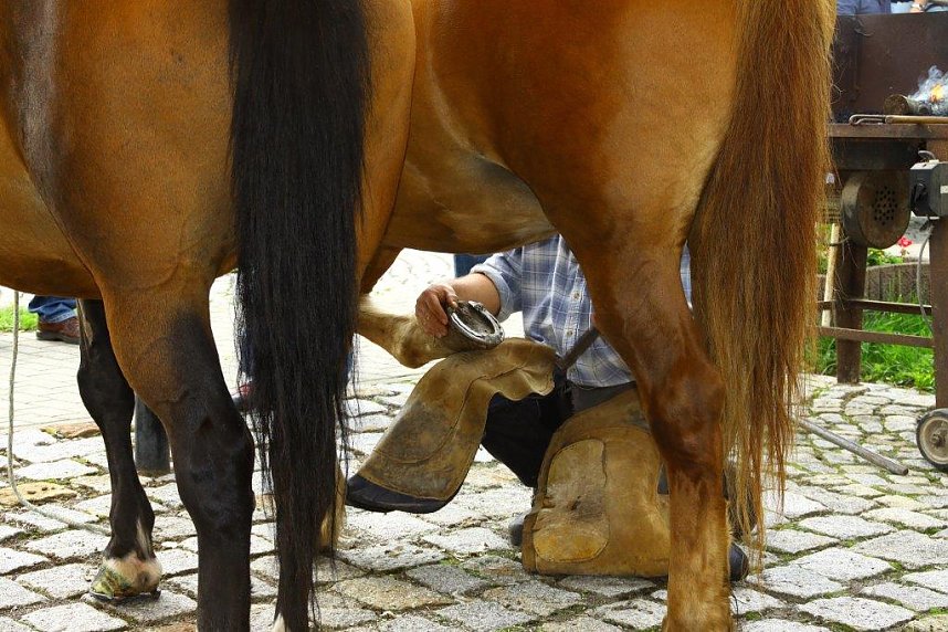Tag des offenen Denkmals in der Alten Schmiede in Obergebra