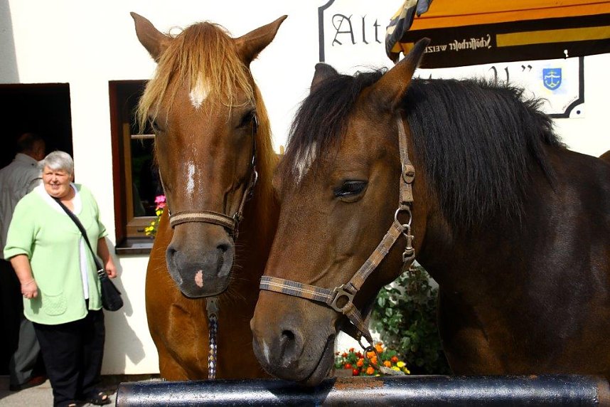 Tag des offenen Denkmals in der Alten Schmiede in Obergebra