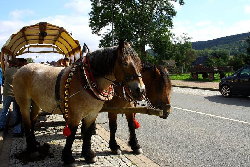 Tag des offenen Denkmals in der Alten Schmiede in Obergebra