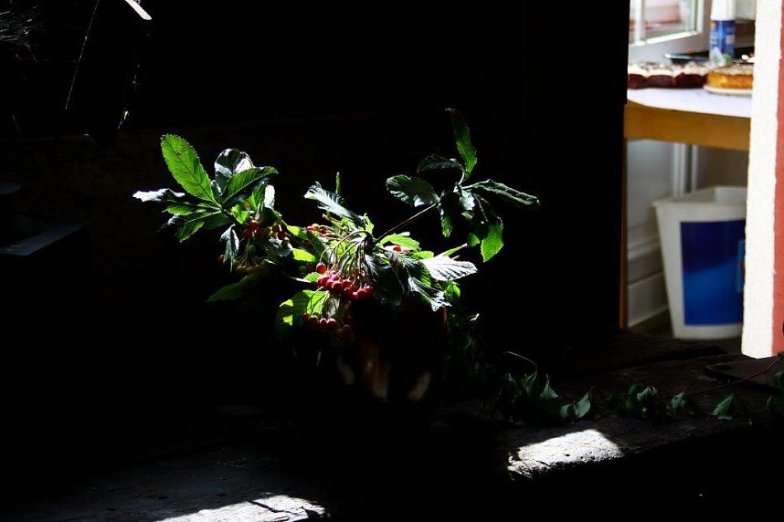 Tag des offenen Denkmals in der Alten Schmiede in Obergebra