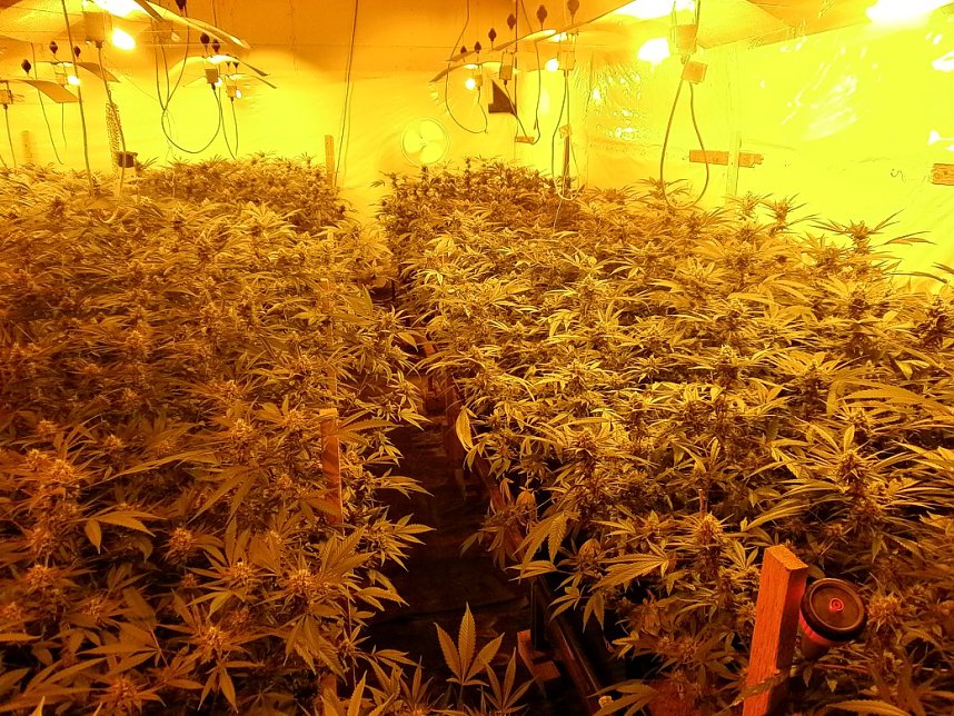 Schlag gegen Drogenszene