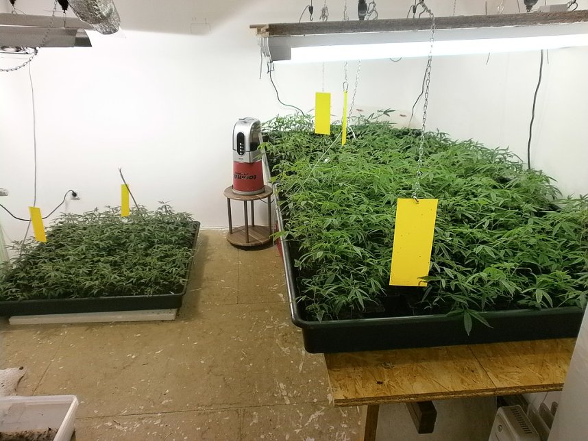 Schlag gegen Drogenszene