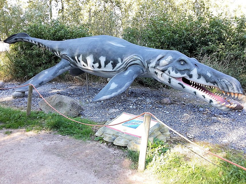 Dinosaurier auf R&uuml;gen