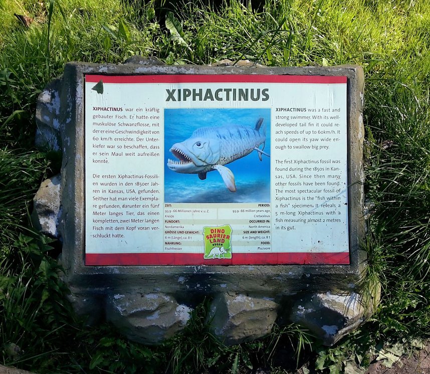 Dinosaurier auf R&uuml;gen