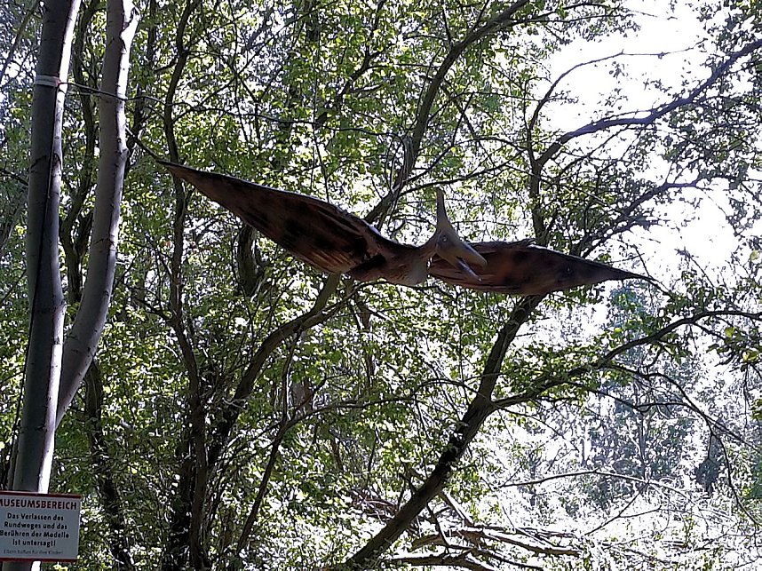 Dinosaurier auf R&uuml;gen