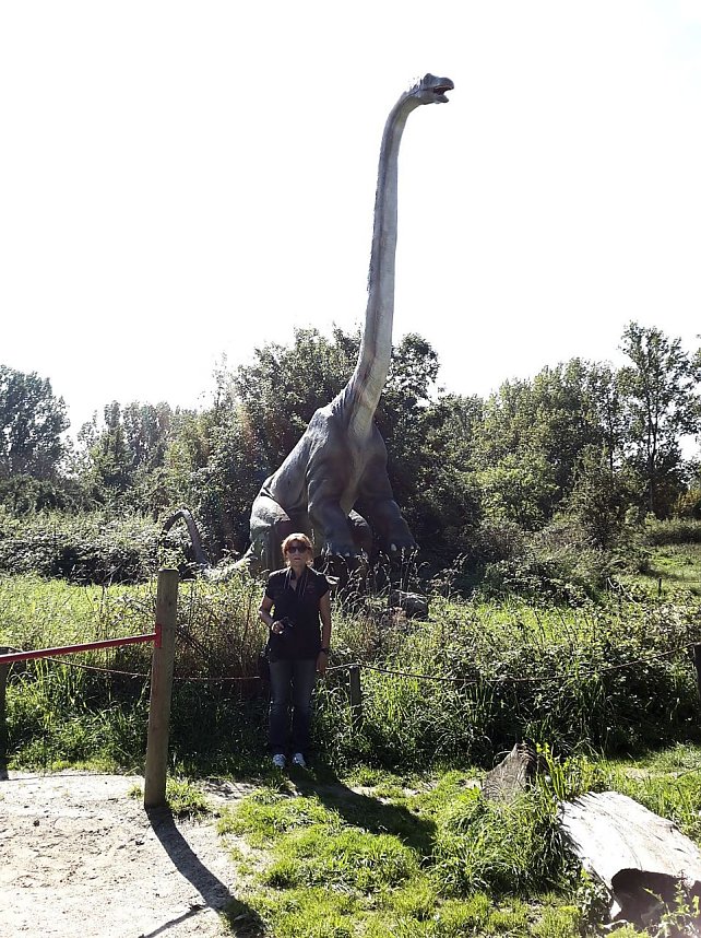 Dinosaurier auf R&uuml;gen