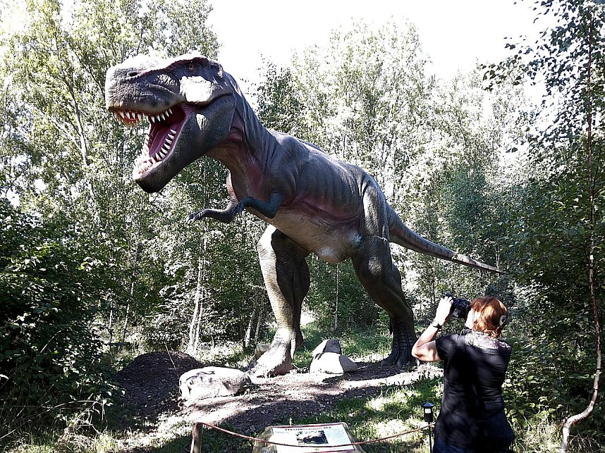 Dinosaurier auf R&uuml;gen