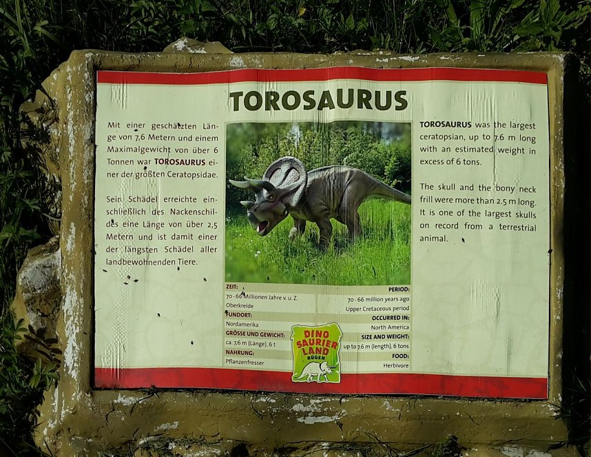 Dinosaurier auf R&uuml;gen