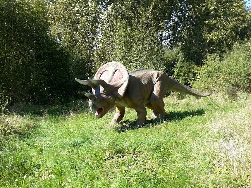 Dinosaurier auf R&uuml;gen