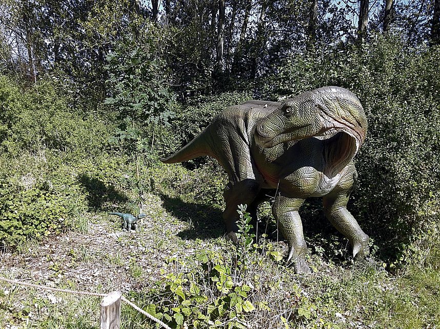 Dinosaurier auf R&uuml;gen