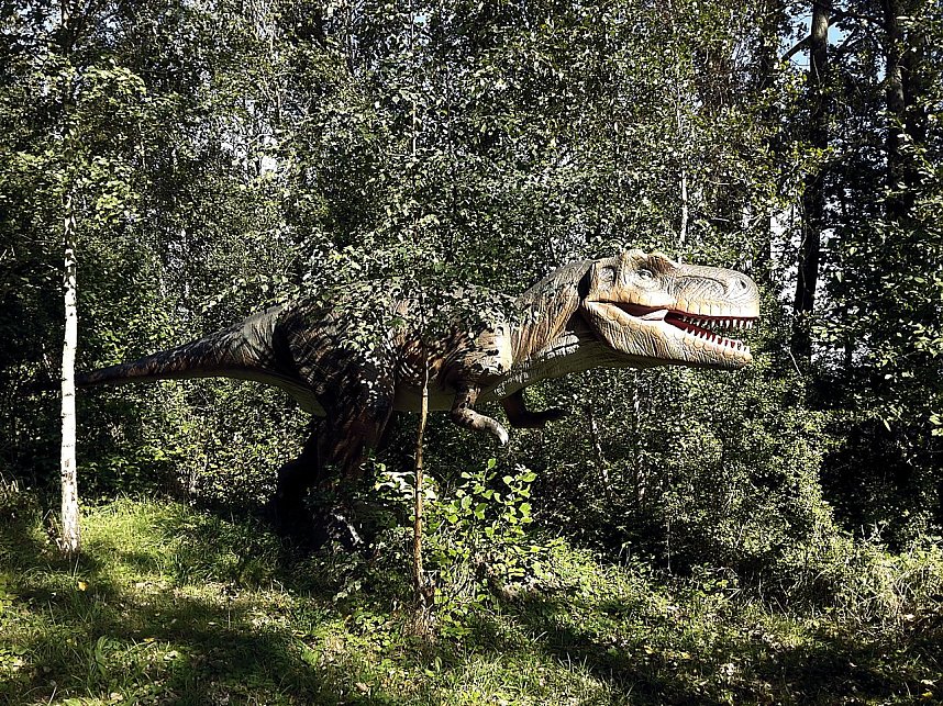 Dinosaurier auf R&uuml;gen