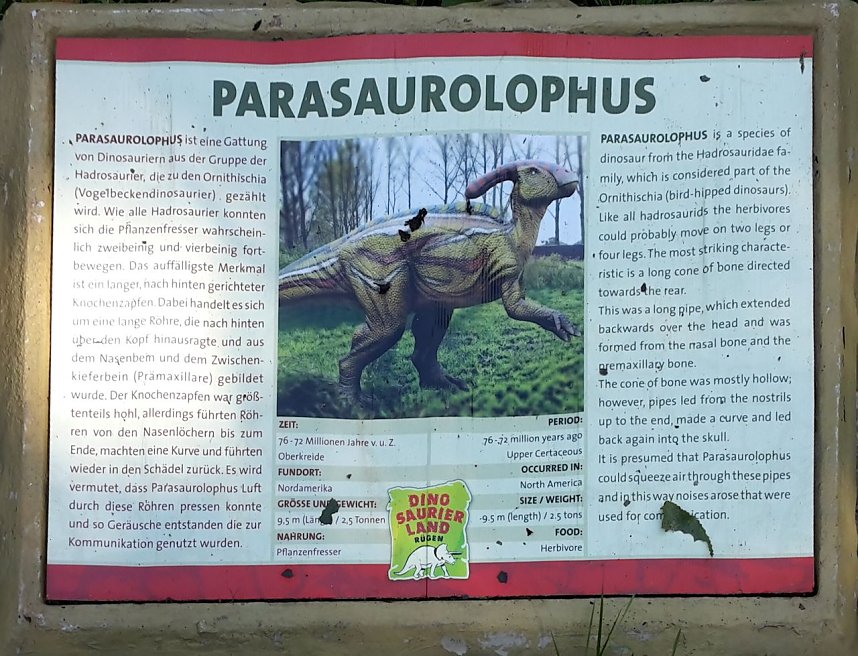 Dinosaurier auf R&uuml;gen