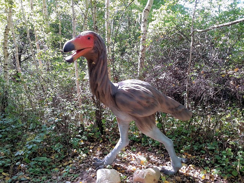 Dinosaurier auf R&uuml;gen