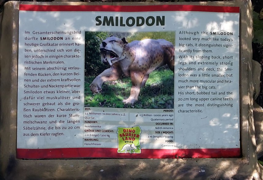 Dinosaurier auf R&uuml;gen