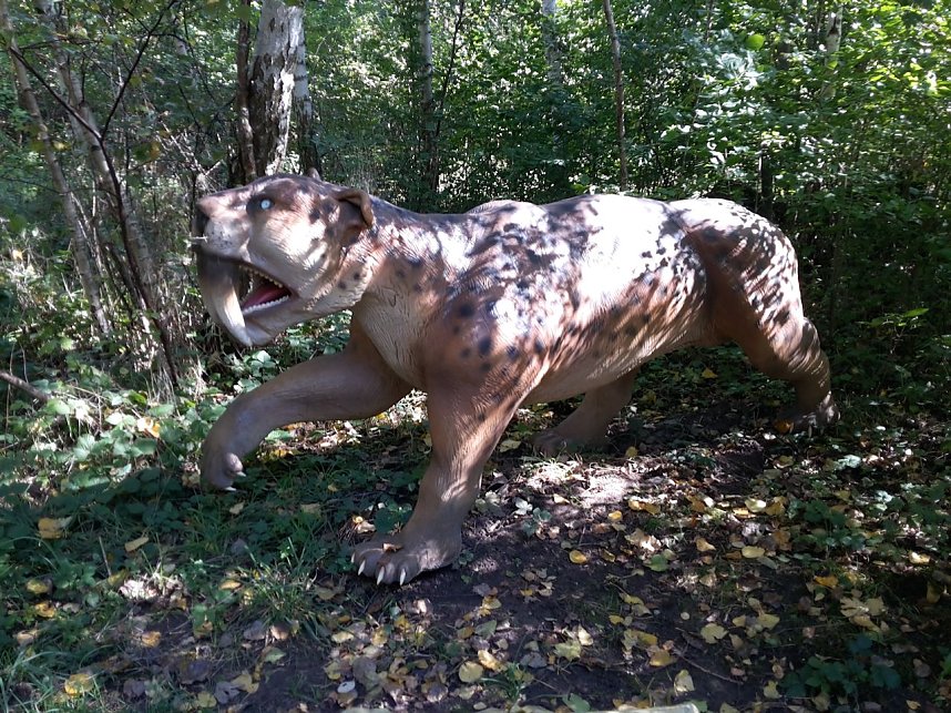 Dinosaurier auf R&uuml;gen