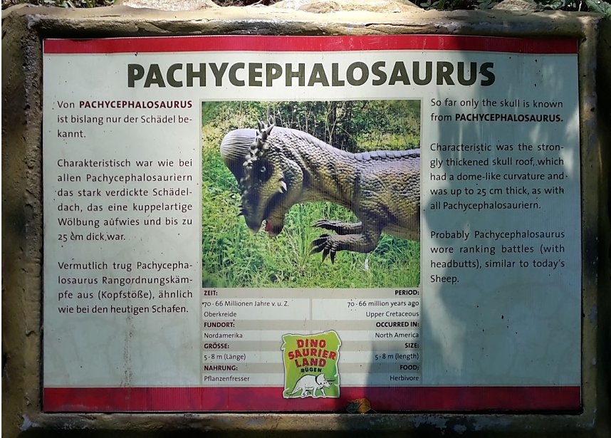 Dinosaurier auf R&uuml;gen