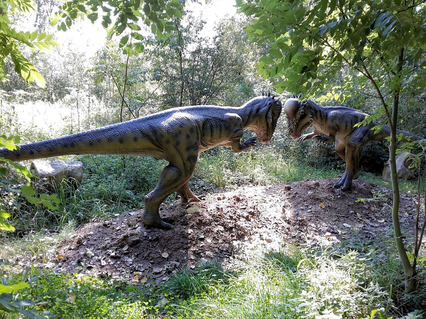 Dinosaurier auf R&uuml;gen