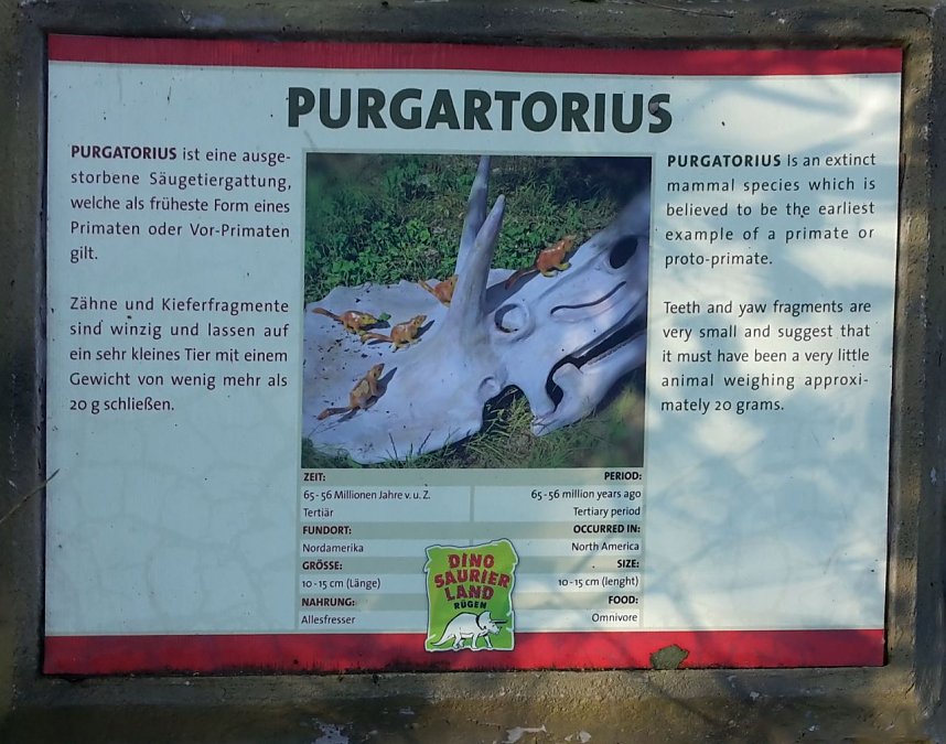 Dinosaurier auf R&uuml;gen