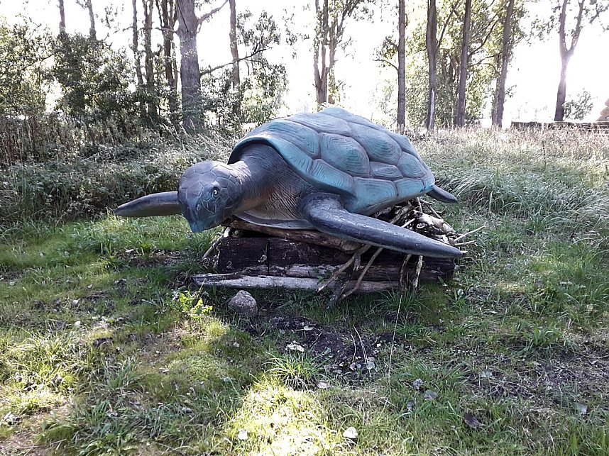 Dinosaurier auf R&uuml;gen