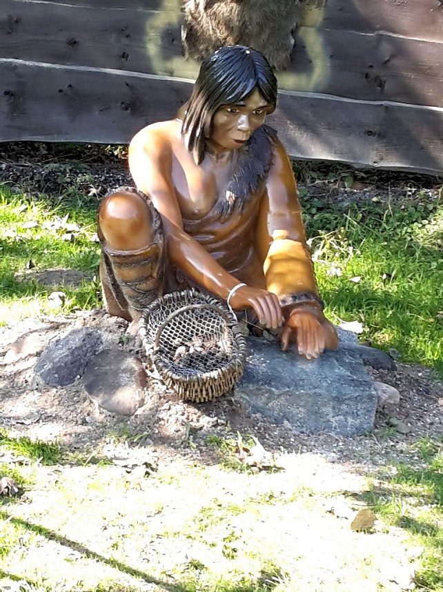 Dinosaurier auf R&uuml;gen