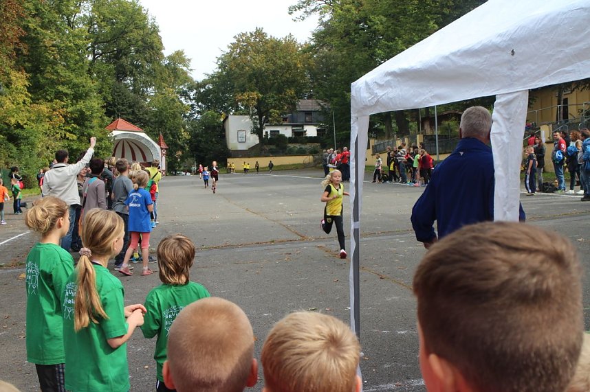Herbst-Crosslauf im Gehege