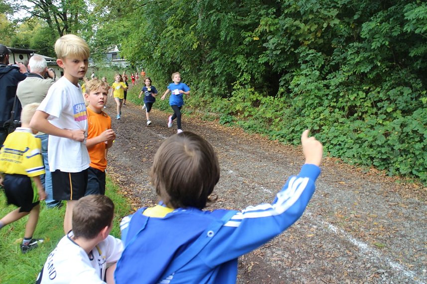 Herbst-Crosslauf im Gehege