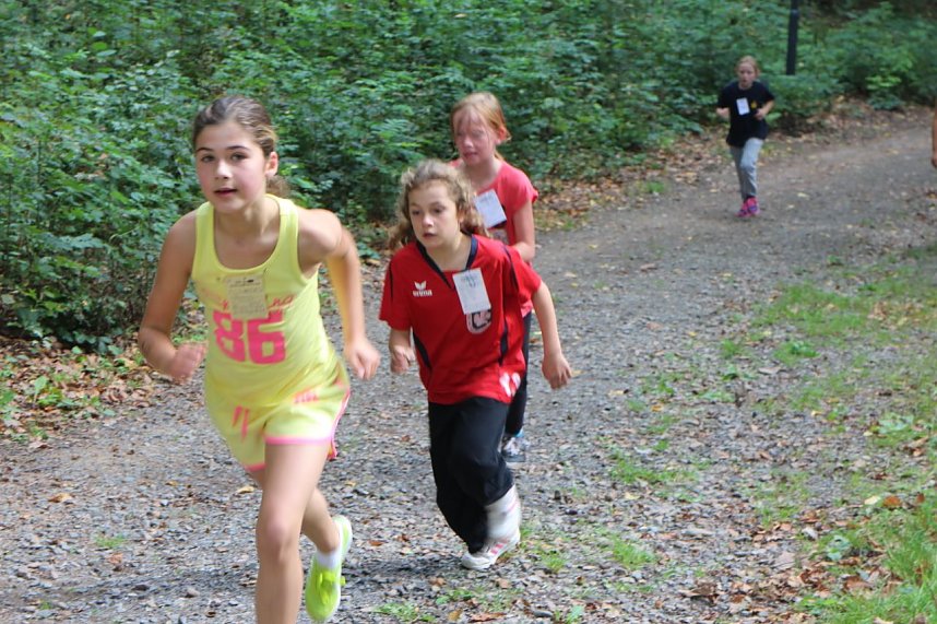 Herbst-Crosslauf im Gehege