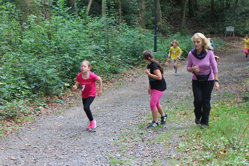 Herbst-Crosslauf im Gehege
