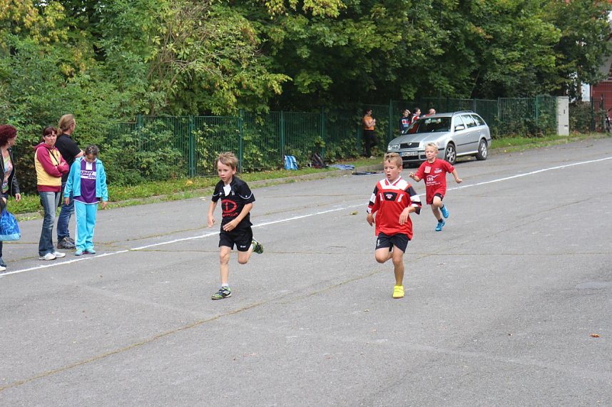 Herbst-Crosslauf im Gehege