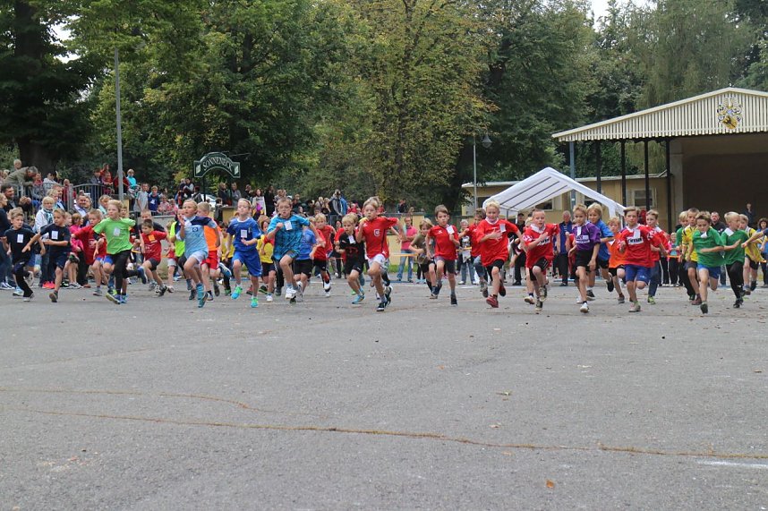 Herbst-Crosslauf im Gehege