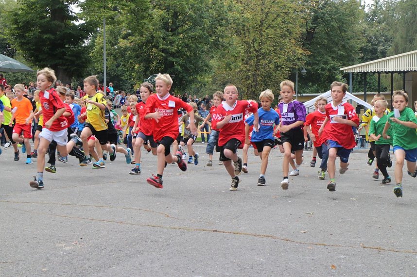 Herbst-Crosslauf im Gehege