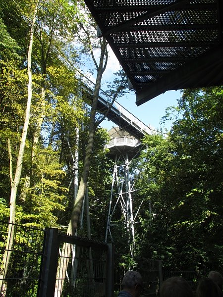 LISA auf dem Baumkronenpfad