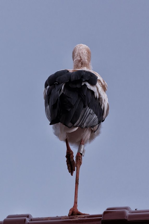 Platz f&uuml;r Nachtruhe