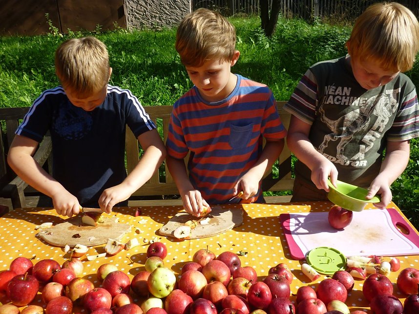 Apfelernte in Harzrigi