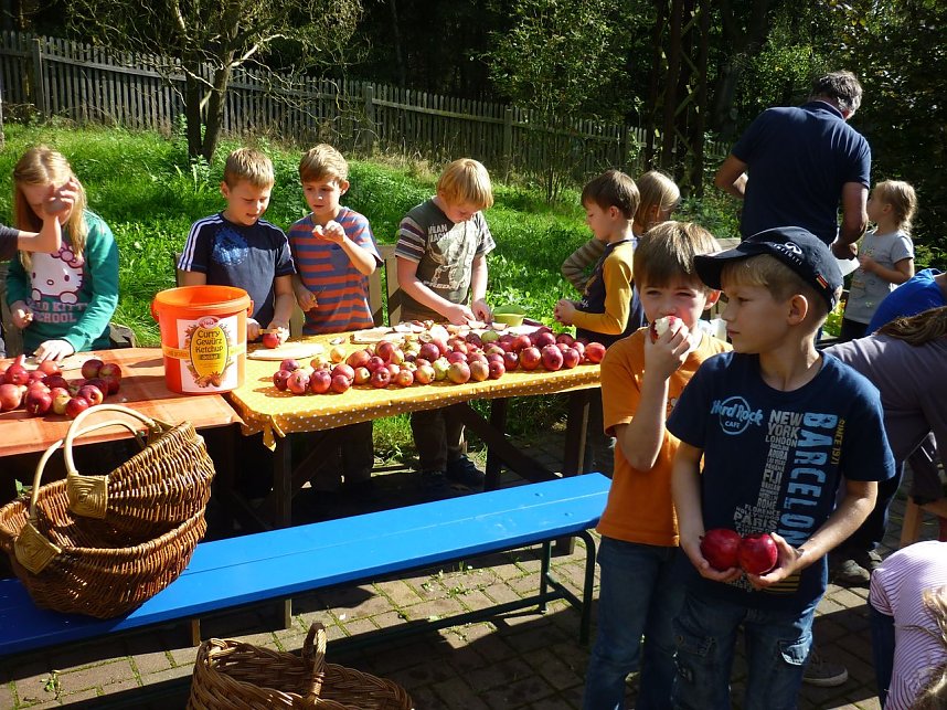 Apfelernte in Harzrigi