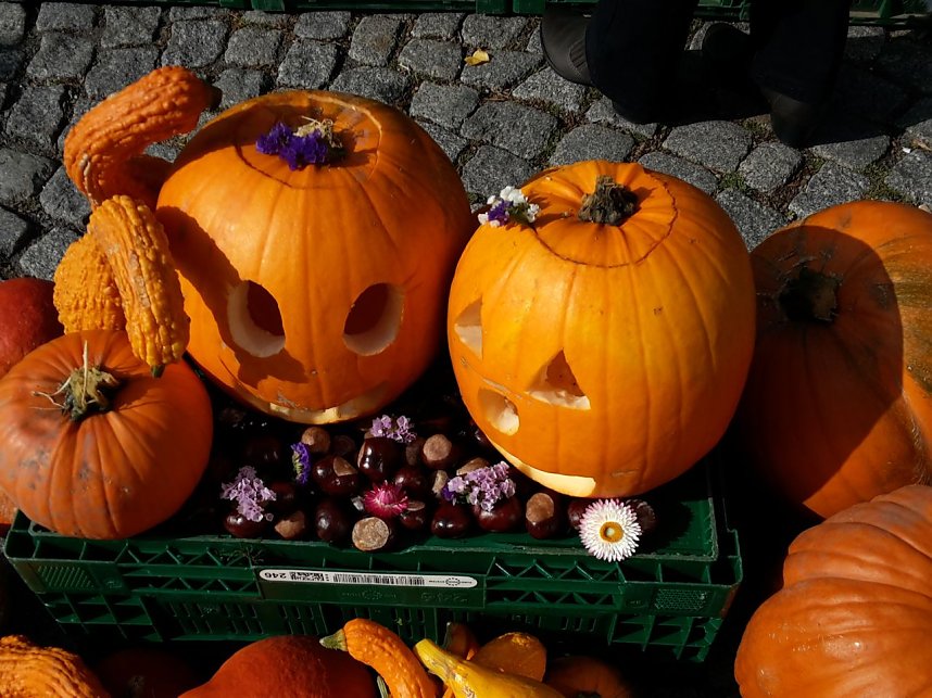 Der etwas andere Markt