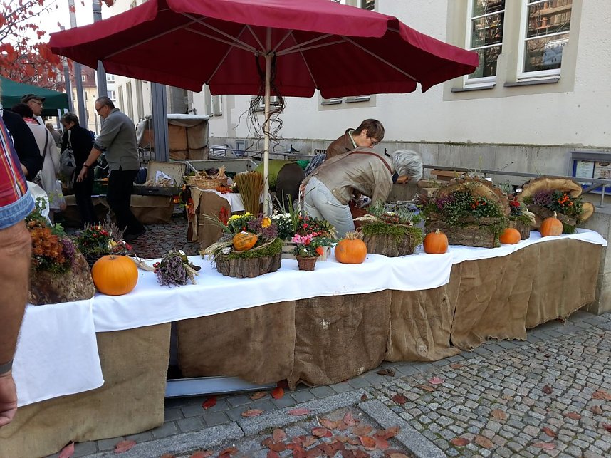 K&uuml;rbisse und Zwiebeln