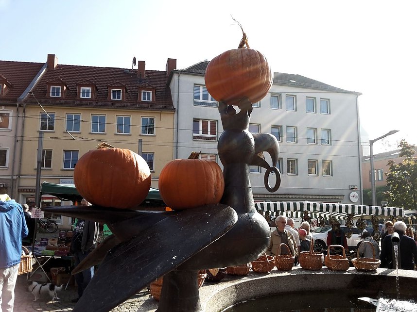 K&uuml;rbisse und Zwiebeln