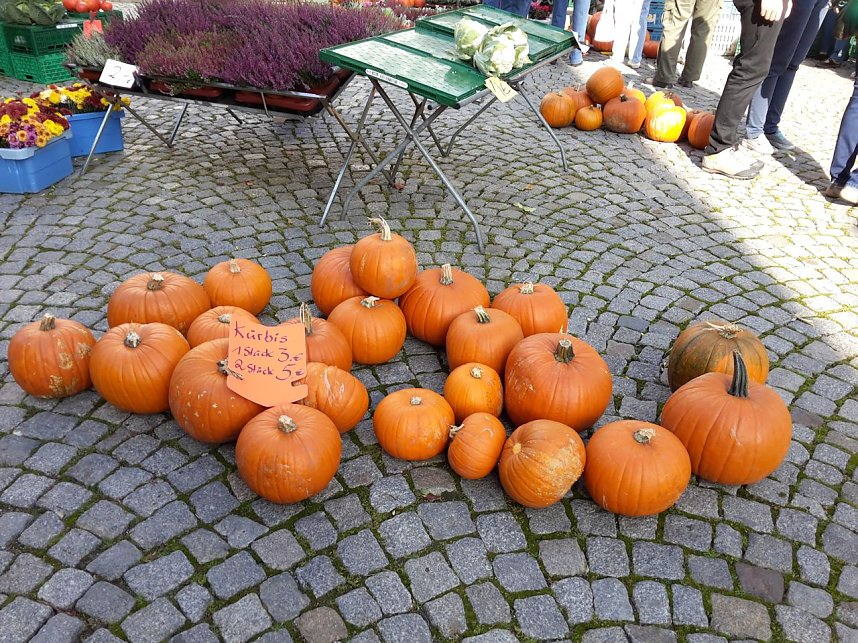 K&uuml;rbisse und Zwiebeln