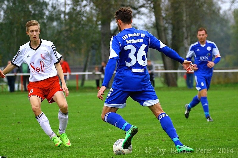 Acht Tore im Elstertal