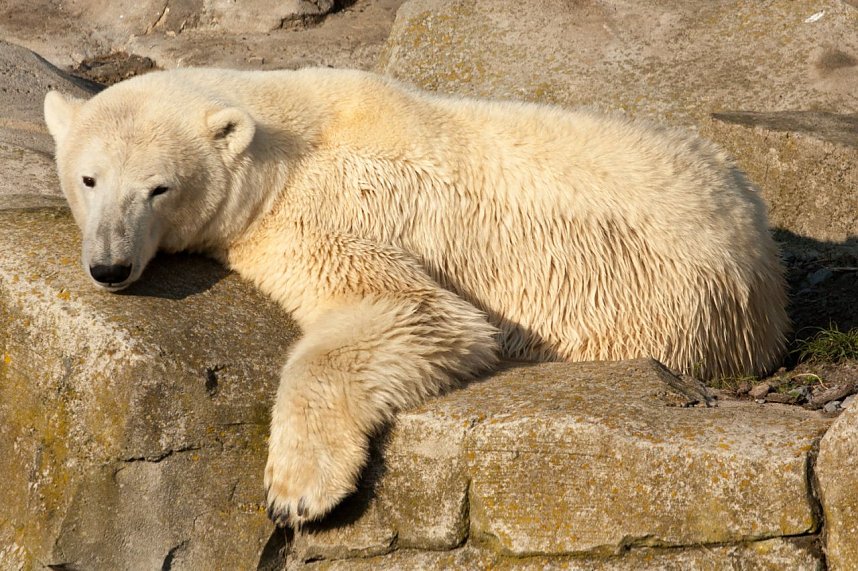 Besuch im Zoo am Meer