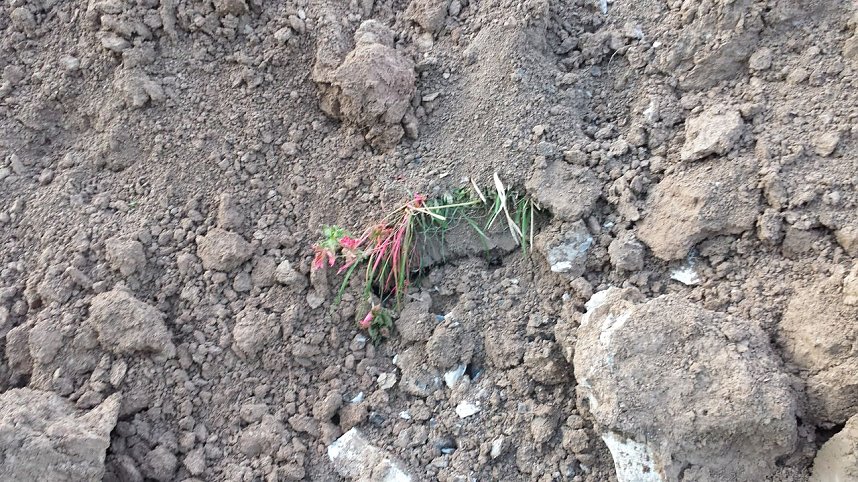 Rund um die Salza-Quelle